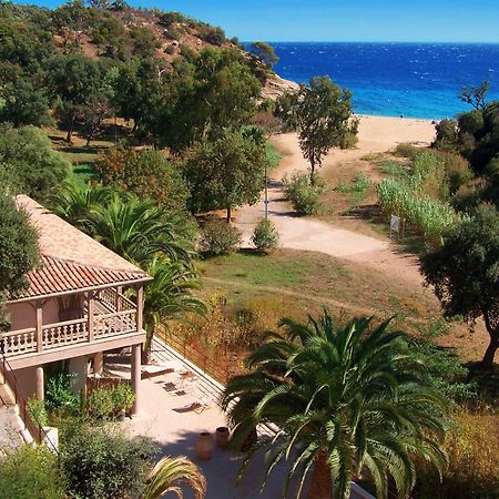 Le Clos Des Sept Palmiers Cavalaire-sur-Mer Exterior photo